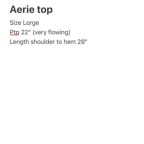 Aerie Maroon Eyelet Blouse oversized Size Large - Picture 7 of 7